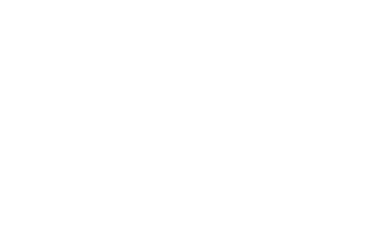 Quadleaf Algorithm